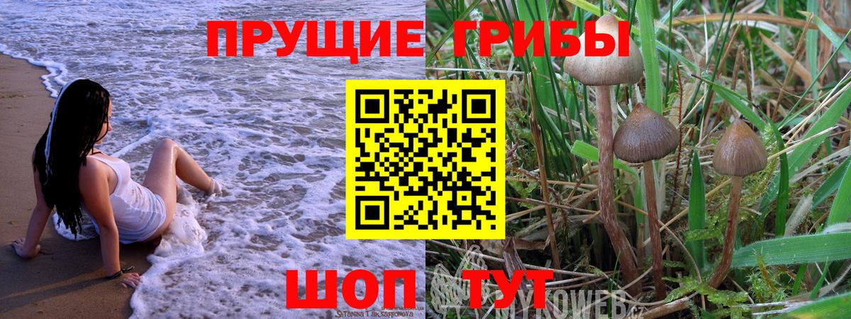 Псилоцибиновые грибы Magic Shrooms Нальчик