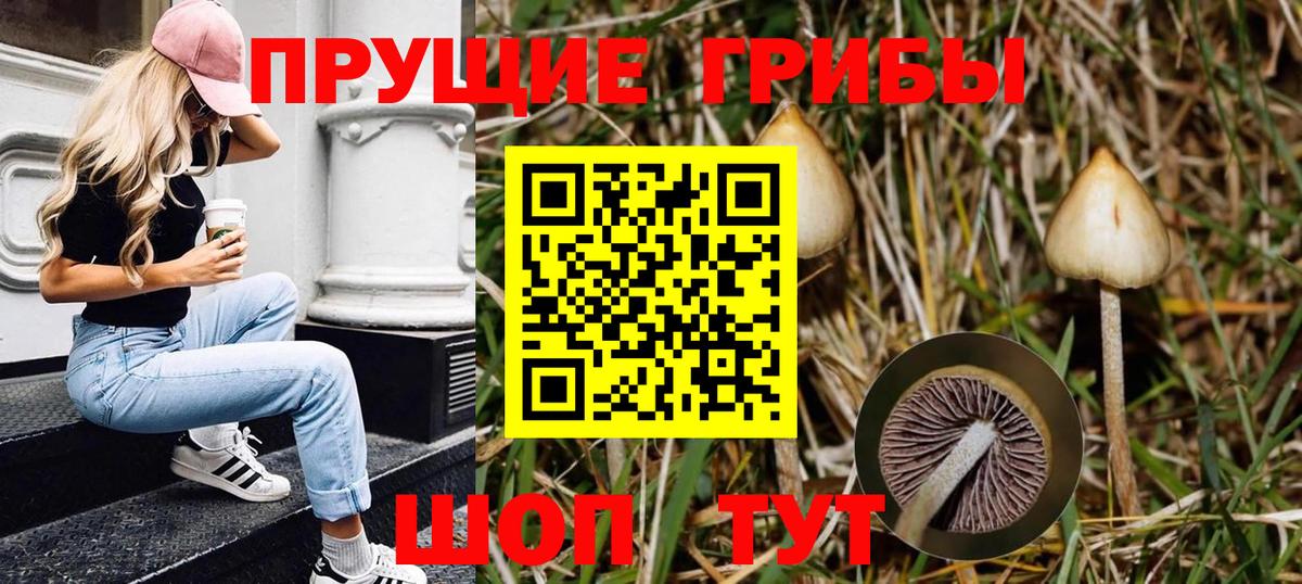 Псилоцибиновые грибы мицелий  Вход с VPN  Нальчик 